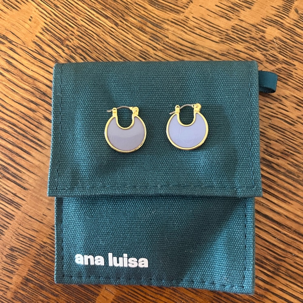 Ana Luisa Huggie Earings